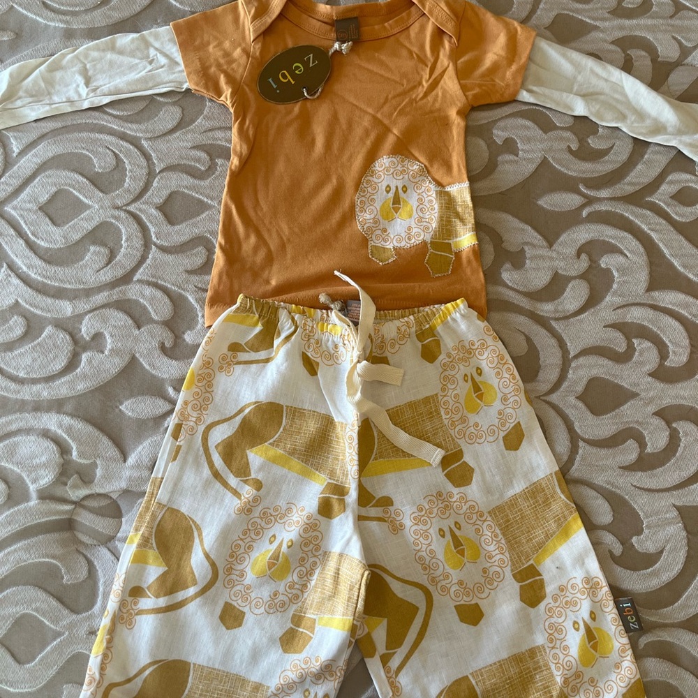 Organic Cotton L/S T with Elasticated Waist Linen Pants set .6 mths.Lion print